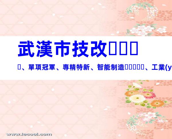 武漢市技改、單項冠軍、專精特新、智能制造、工業(yè)互聯(lián)網(wǎng)、綠色工廠、設備補貼、雙創(chuàng)、兩化融合貫標申報獎勵補助要求細則